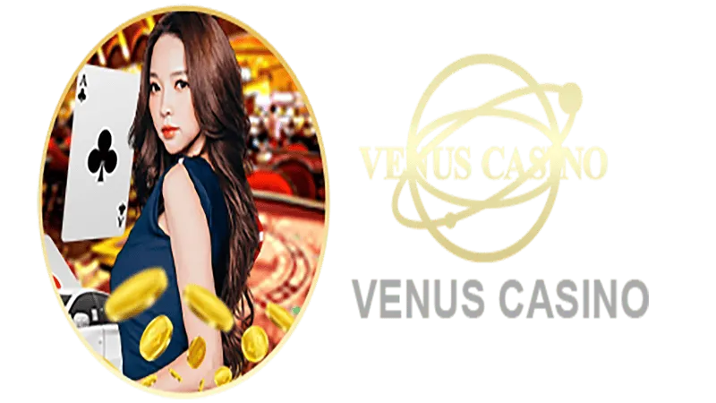 255bet Informações básicas sobre o saguão do cassino Venus